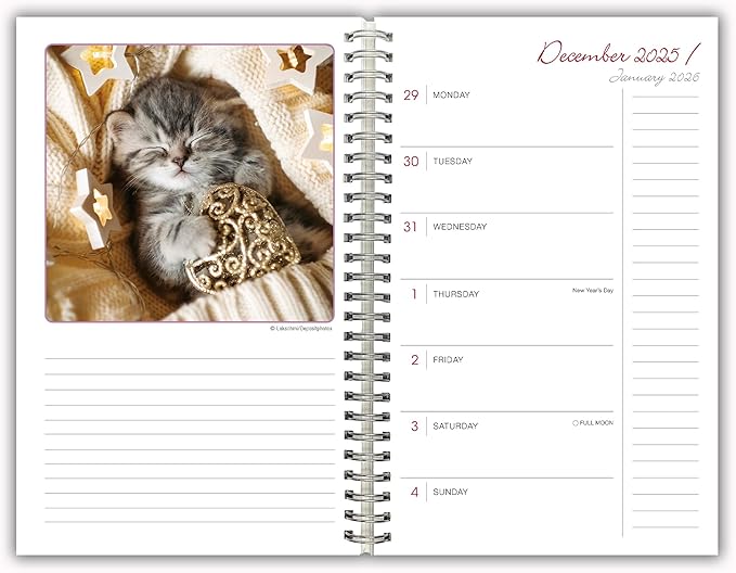 Cat Naps 2026 Weekly & Monthly Planner, 12-Month Engagement Calendar: 2026