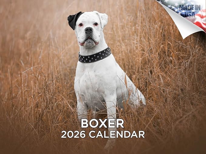 2025 2026 Boxer Calendar - Dog Breed Monthly Wall Calendar - 12" x 18" Open - Thick No-Bleed Paper - Giftable - Academic Teacher's Planner Calendar Organizing & Planning - Made in USA