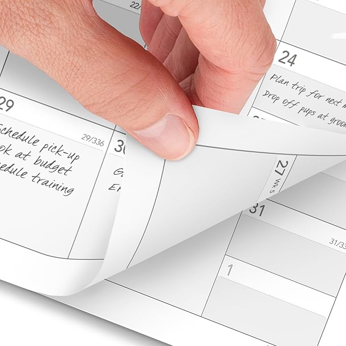 AT-A-GLANCE 2026 Planner Refill, Monthly, 3-3/4" x 6-3/4", Portable Size 3, Loose-Leaf (063-685Y-26)