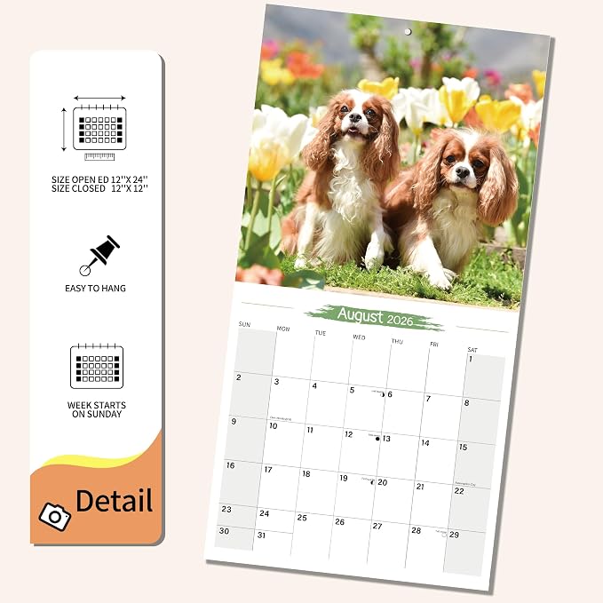 2025-2026 Wall Calendar Cavalier King Charles Spaniel Planner Calendar, Hangable Monthly Wall Calendar with Large Blocks for Organizing & Planning, Academic Schedule, Home, Office & family, Thick & Sturdy Paper (12"x24" Open)