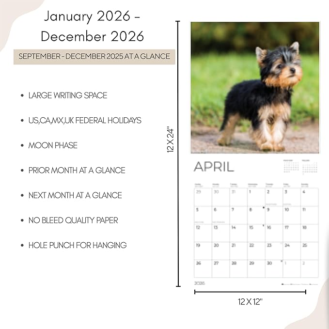 Yorkshire Puppy 2026 Wall Calendar | 12" x 24" Open | Dog Calendar Photography Thick & Sturdy Paper for Planning | Office Kitchen Decor or Gift | Pacific Waters Press (Yorkshire Terrier Puppies)