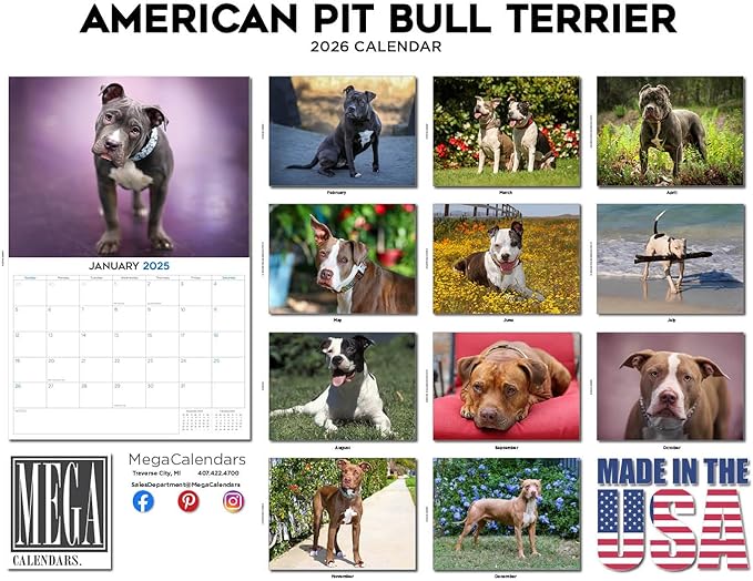 2025 2026 American Pit Bull Terrier Calendar - Dog Breed Monthly Wall Calendar - 12" x 18" Open - Thick No-Bleed Paper - Giftable - Academic Teacher's Planner Calendar Organizing & Planning - Made in USA