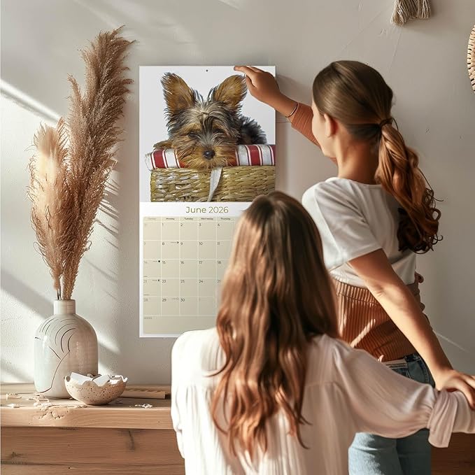 Yorkshire Terrier Puppies Calendar 2026 by MegaCalendars – Monthly Dog Breed Wall Calendar, Made in USA