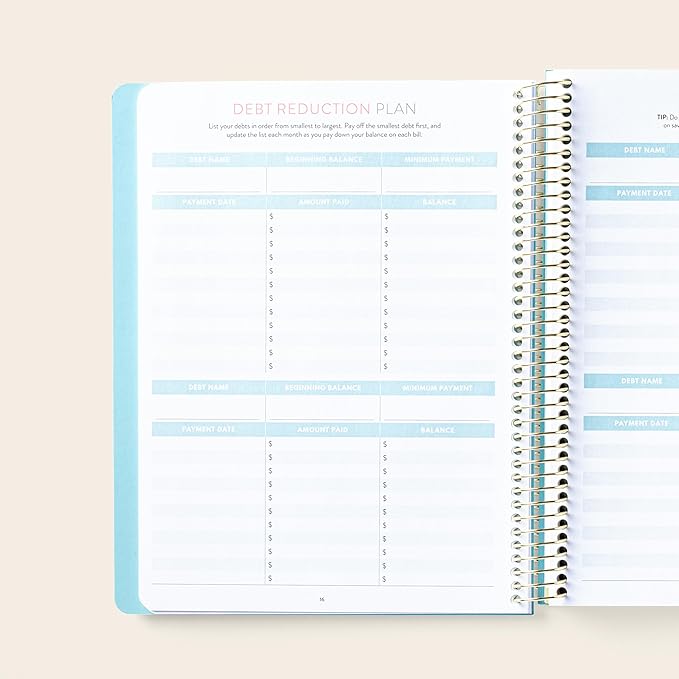 PPP Money Planner | 10 Cash Budget Envelopes | Budget Planner | Annual & Monthly Financial Worksheet, Expense, Saving & Debt Reduction Pages | Stickers | Long-Term Financial Goals | Spend Ledger