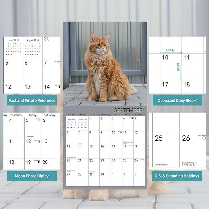 2026 Wall Calendar,Cat Calendar 2026,Maine Coon Monthly Wall Calendar, 12" x 24" Open,Family Planner Calendar Organizer with Maine Coon Images, for Cats Lovers