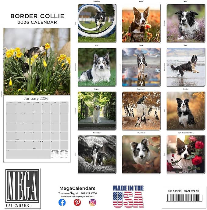 Border Collie Calendar 2026 by MegaCalendars – Monthly Dog Breed Wall Calendar, Made in USA