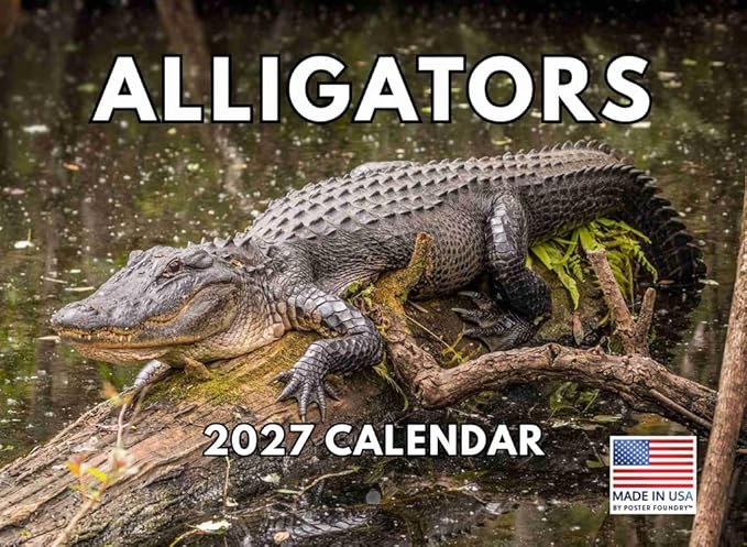 Alligator Calendar 2027 Monthly Wall Calender 12 Month