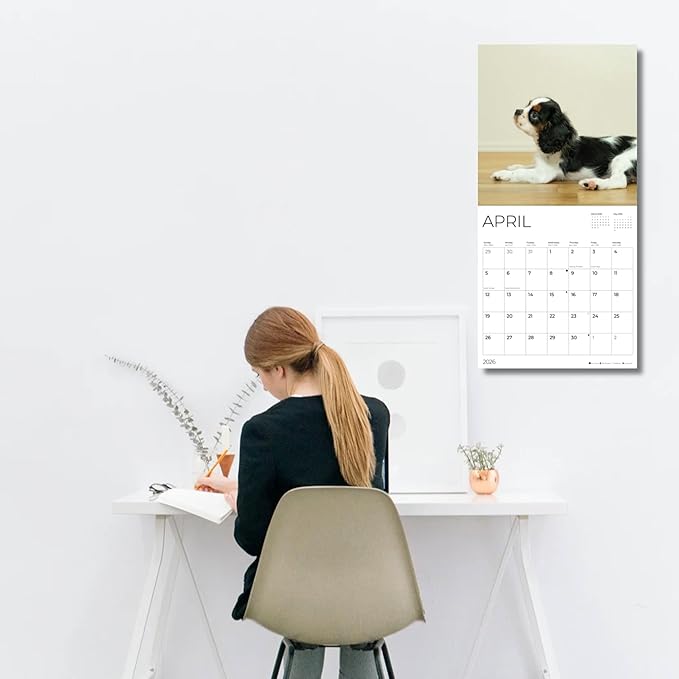 Cavalier Puppy 2026 Wall Calendar | 12" x 24" Open | Dog Photography Thick & Sturdy Paper for Organizing & Planning | Office Kitchen Decor or Gift | Pacific Waters Press (Cavalier King Charles Spaniel Puppies)
