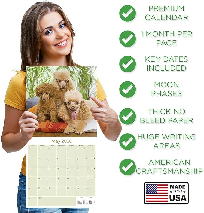 Poodle Toy and Miniature Calendar 2026 by MegaCalendars – Monthly Dog Breed Wall Calendar, Made in USA