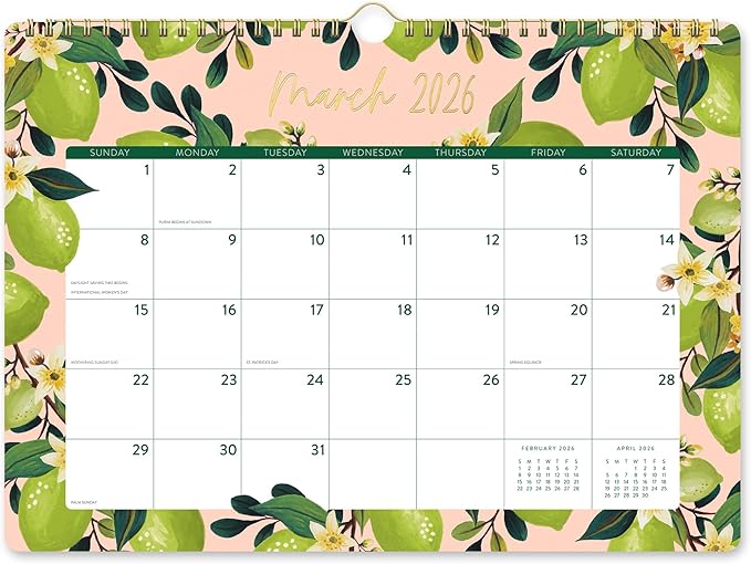 Orange Circle Studio Deluxe Wall Calendar 2025-26, Fruit & Flora, Large Monthly Planner with Hanging Hook for Home Office, Classroom or School Use, Family Calendar, Aesthetic Hanging Organizer