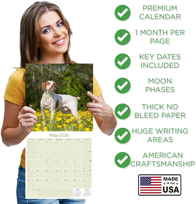 Brittany Calendar 2026 by MegaCalendars – Monthly Dog Breed Wall Calendar, Made in USA