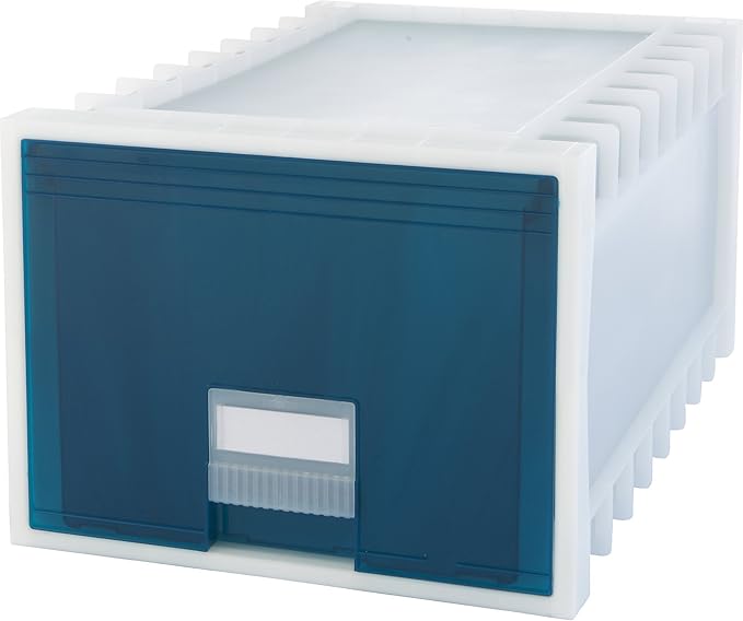 Storex 24-Inch Archive Storage Box for Letter Size Hanging Files, Frosted/Aqua (61103U01C)