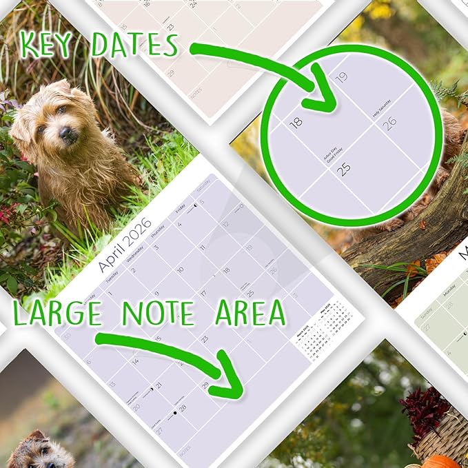 2025 2026 Norfolk/Norwich Calendar - Dog Breed Monthly Wall Calendar - 12" x 24" Open - Thick No-Bleed Paper - Giftable - Academic Teacher's Planner Calendar Organizing & Planning - Made in USA