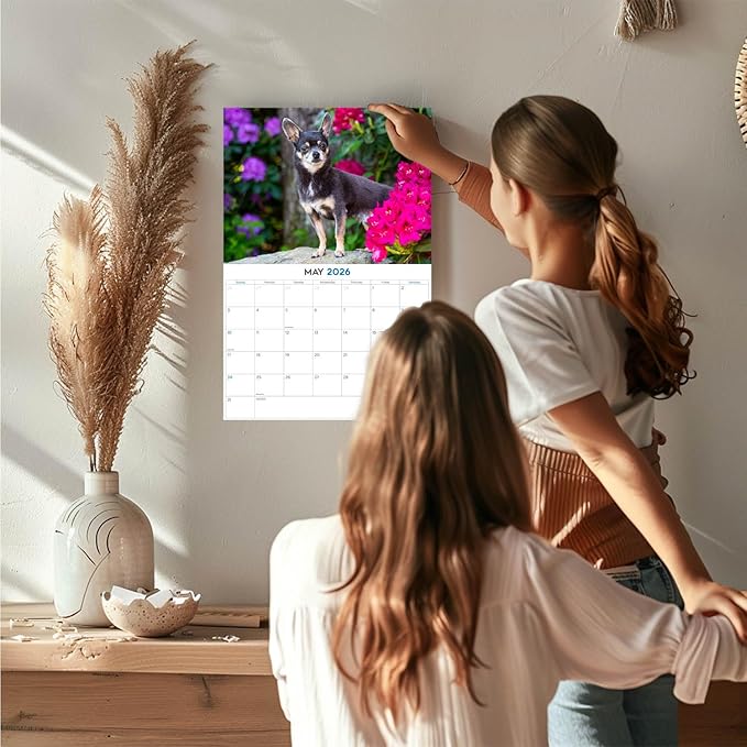 2025 2026 Chihuahua Calendar - Dog Breed Monthly Wall Calendar - 12" x 18" Open - Thick No-Bleed Paper - Giftable - Academic Teacher's Planner Calendar Organizing & Planning - Made in USA