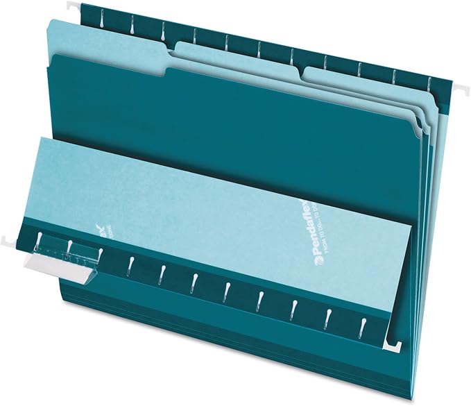 Pendaflex Interior File Folders, 1/3 Cut, Top Tab, Letter Size, Teal, 100 per Box (4210 1/3 Tea)