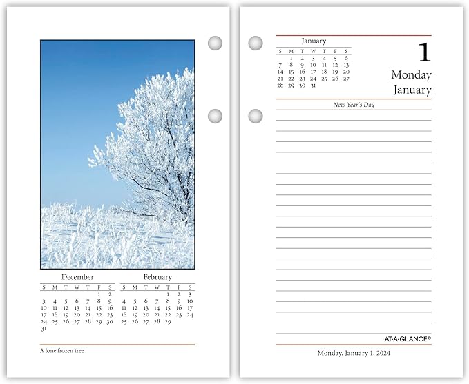 AT-A-GLANCE 2024 Daily Desk Calendar Refill, 3-1/2" x 6", Standard, Loose-Leaf, Photographic (E4175024)