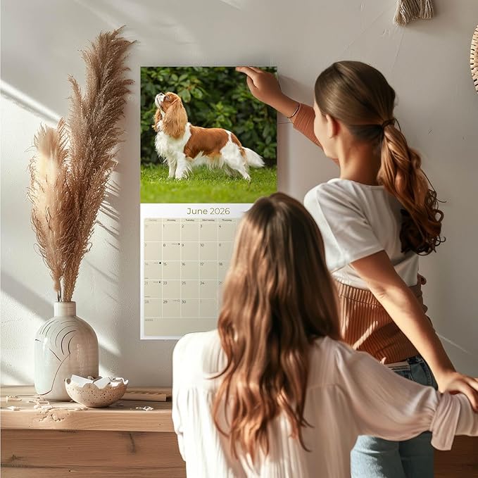 Cavalier King Charles Calendar 2026 by MegaCalendars – Monthly Dog Breed Wall Calendar, Made in USA