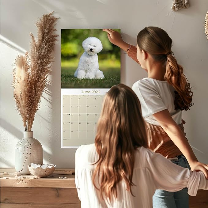 Bichon Frise Calendar 2026 by MegaCalendars – Monthly Dog Breed Wall Calendar, Made in USA