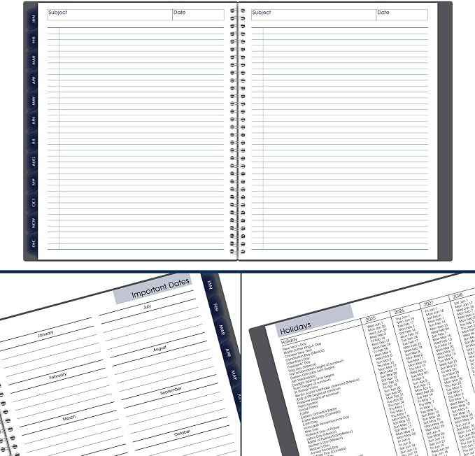 AT-A-GLANCE 2025 Planner, Monthly, 8-1/2" x 11", Large, DayMinder, Gray (GC4700725)