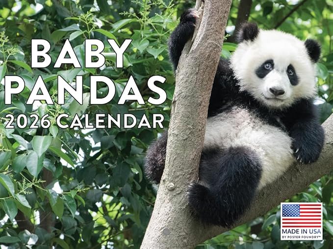 Baby Panda Calendar 2026 Monthly Wall Calender 12 Month | American Made In The USA