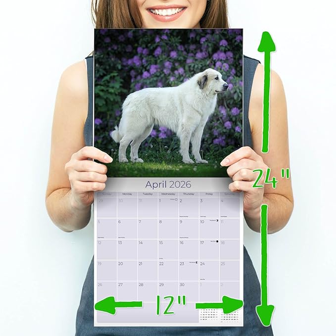 Great Pyrenese Calendar 2026 by MegaCalendars – Monthly Dog Breed Wall Calendar, Made in USA