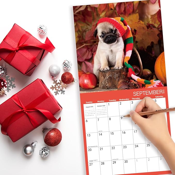 2026 Wall Calendar, Pug Dogs Wall Calendar, 12" x 24" Open,Family Planner Calendar, Home & Office Organizer,Hangable, for Dogs lover