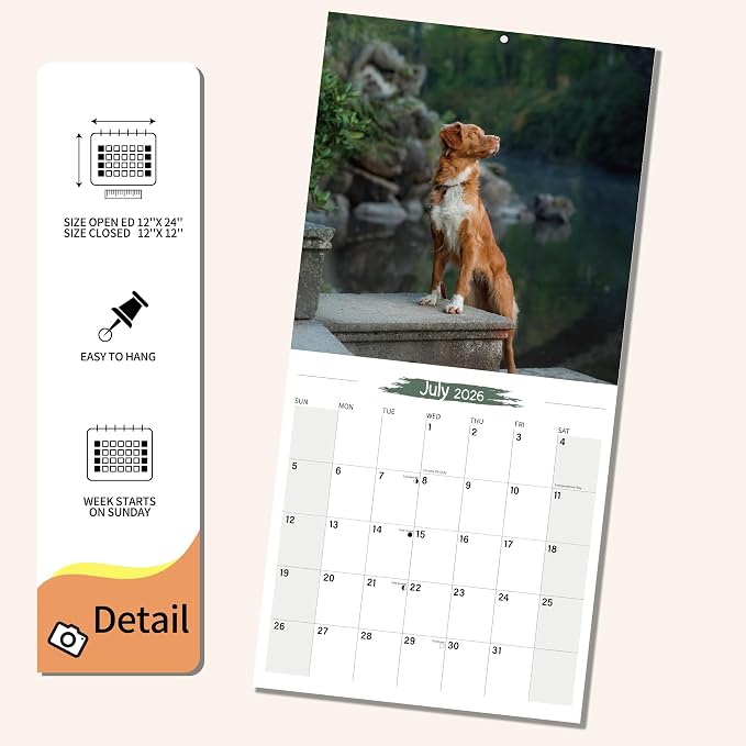 2025-2026 Wall Calendar Nova Scotia Duck Tolling Retriever Planner Calendar, Hangable Monthly Dogs Wall Calendar with Large Blocks for Organizing & Planning, Academic Schedule, Home, Office & family, Thick & Sturdy Paper (12"x24" Open)