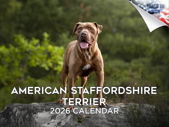 2025 2026 American Staffordshire Terrier Calendar - Dog Breed Monthly Wall Calendar - 12" x 18" Open - Thick No-Bleed Paper - Giftable - Academic Teacher's Planner Calendar Organizing & Planning - Made in USA
