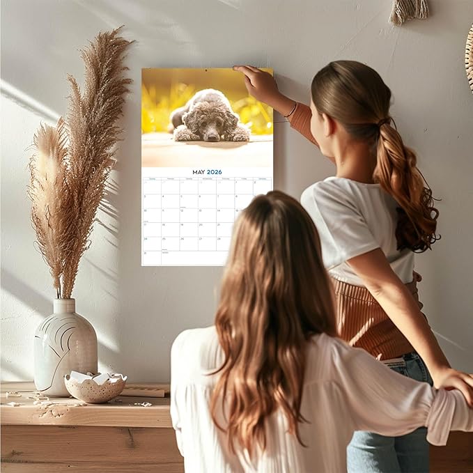 2025 2026 Poodle Calendar - Dog Breed Monthly Wall Calendar - 12" x 18" Open - Thick No-Bleed Paper - Giftable - Academic Teacher's Planner Calendar Organizing & Planning - Made in USA