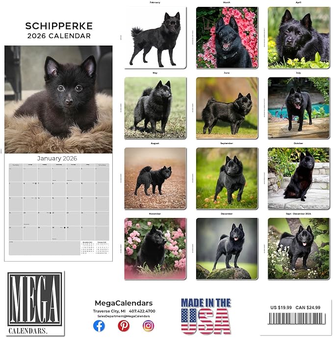 Schipperke Calendar 2026 by MegaCalendars – Monthly Dog Breed Wall Calendar, Made in USA