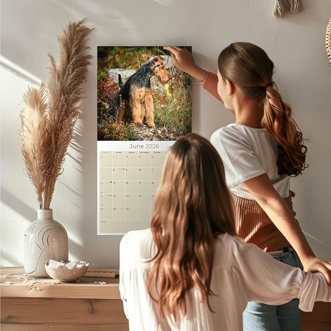 2025 2026 Welsh Terrier Calendar - Dog Breed Monthly Wall Calendar - 12" x 24" Open - Thick No-Bleed Paper - Giftable - Academic Teacher's Planner Calendar Organizing & Planning