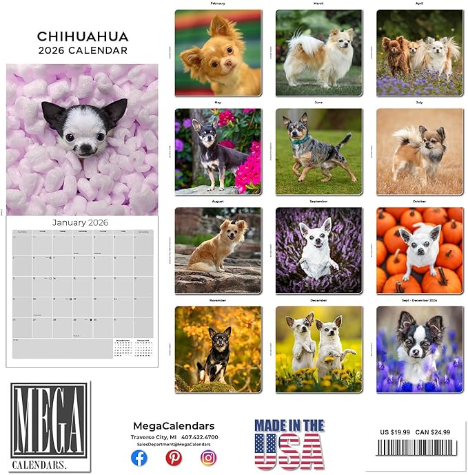 Chihuahua Calendar 2026 by MegaCalendars – Monthly Dog Breed Wall Calendar, Made in USA