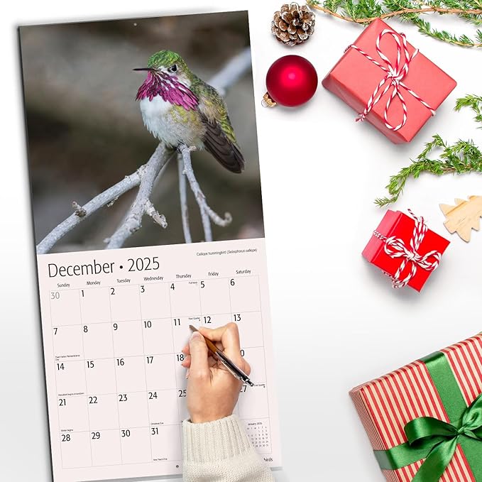 RED EMBER Hummingbirds 2025 Wall Calendar 12 Month | 12" x 24" Open | Thick & Sturdy Paper | Giftable | Calendar 2025