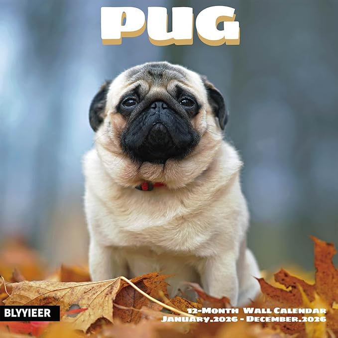 2026 Wall Calendar, Pug Dogs Wall Calendar, 12" x 24" Open,Family Planner Calendar, Home & Office Organizer,Hangable, for Dogs lover