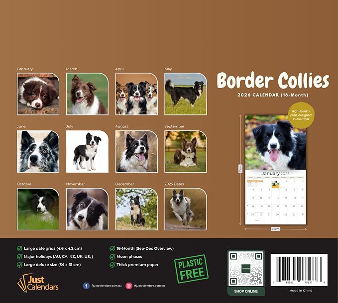 2026 Border Collies Dog Deluxe Wall Calendar | 16-Month Monthly Planner | Eco-Friendly Plastic-Free Organizer | Large 12" x 13.3" Home & Office Calendar with Holidays & Cute Border Collie Photos
