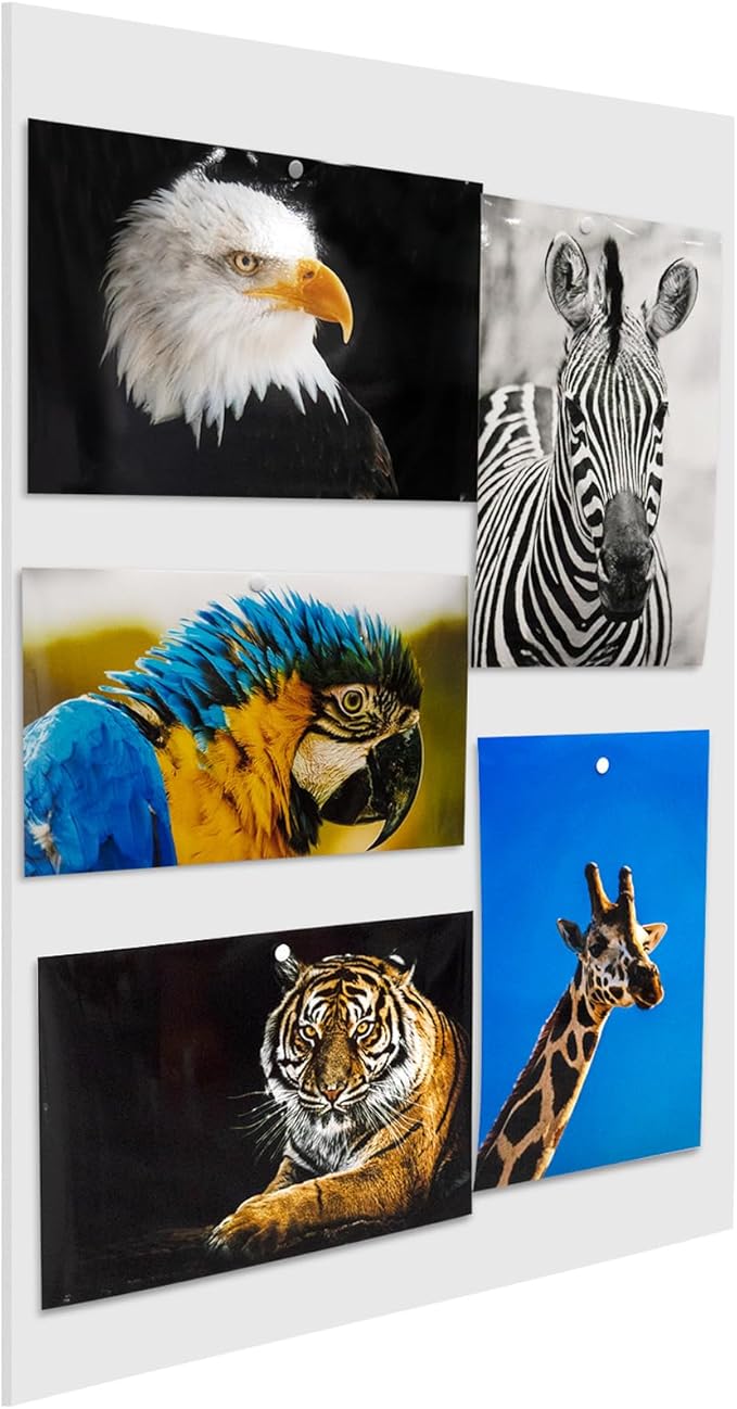 Foam Board 20 x 30 x 3/16" (5mm) - 12 Pack - White Poster Board, Acid Free, Double Sided, Rigid, Sign Board Foamboard for Mounting, Crafts, Paintings Prints, Art, Display, Presentation and Projects