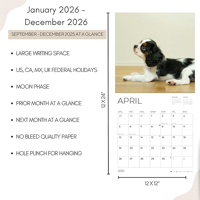 Cavalier Puppy 2026 Wall Calendar | 12" x 24" Open | Dog Photography Thick & Sturdy Paper for Organizing & Planning | Office Kitchen Decor or Gift | Pacific Waters Press (Cavalier King Charles Spaniel Puppies)