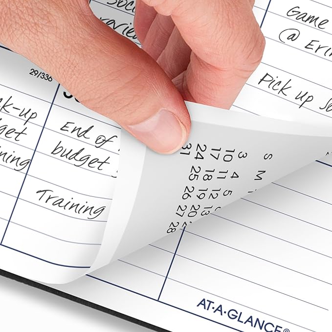 AT-A-GLANCE 2026 Planner, Monthly, 8" x 12", Large, DayMinder, Black (SK20026)