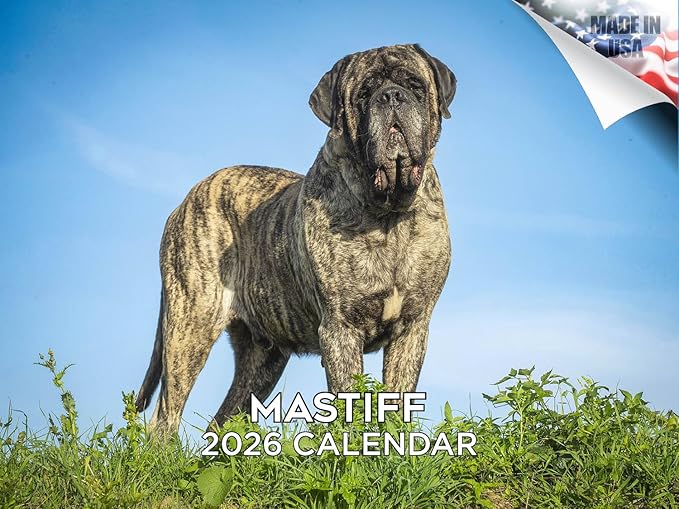 2025 2026 Mastiff Calendar - Dog Breed Monthly Wall Calendar - 12" x 18" Open - Thick No-Bleed Paper - Giftable - Academic Teacher's Planner Calendar Organizing & Planning - Made in USA