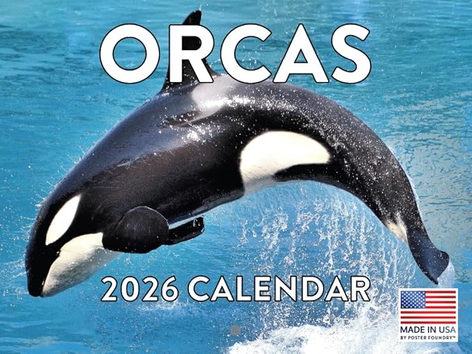 Orca Calendar 2026 Killer Whale Monthly Wall Calender 12 Month | American Made In The USA