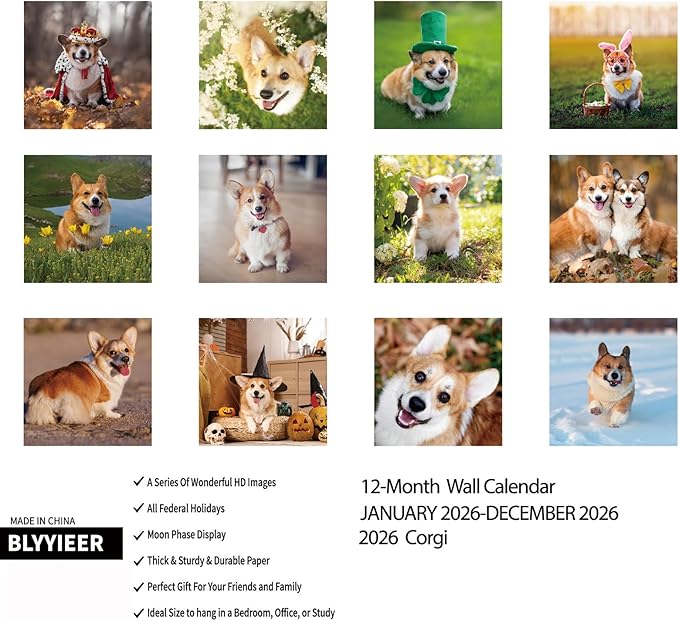 2026 Wall Calendar,Corgi Wall Calendar, 12" x 24" Open,Family Planner Calendar Organizer with Corgi Images, for Dogs Lovers