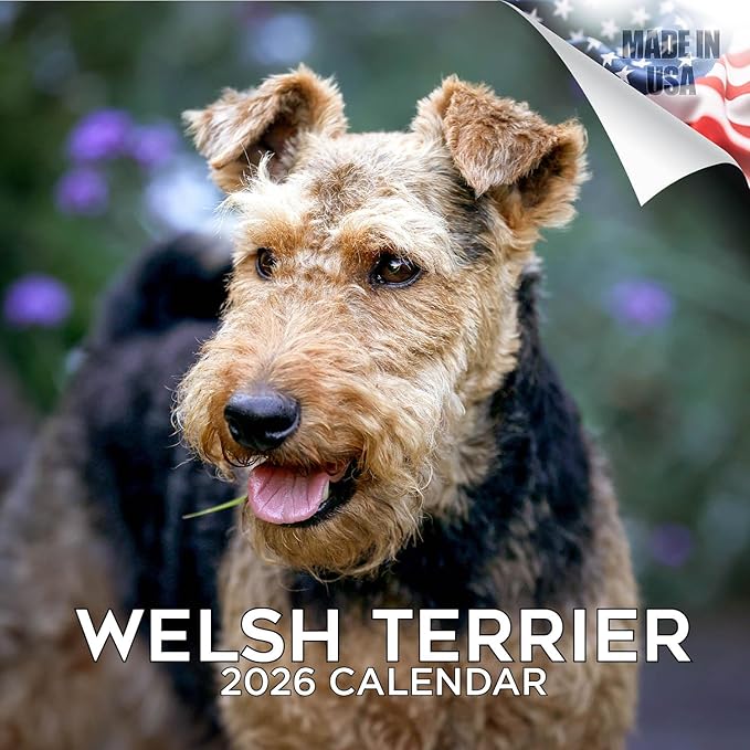 2025 2026 Welsh Terrier Calendar - Dog Breed Monthly Wall Calendar - 12" x 24" Open - Thick No-Bleed Paper - Giftable - Academic Teacher's Planner Calendar Organizing & Planning