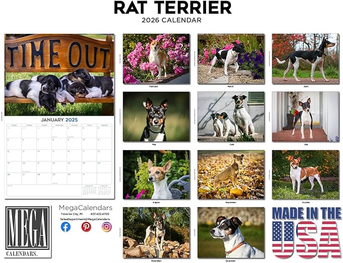 2025 2026 Rat Terrier Calendar - Dog Breed Monthly Wall Calendar - 12" x 18" Open - Thick No-Bleed Paper - Giftable - Academic Teacher's Planner Calendar Organizing & Planning - Made in USA
