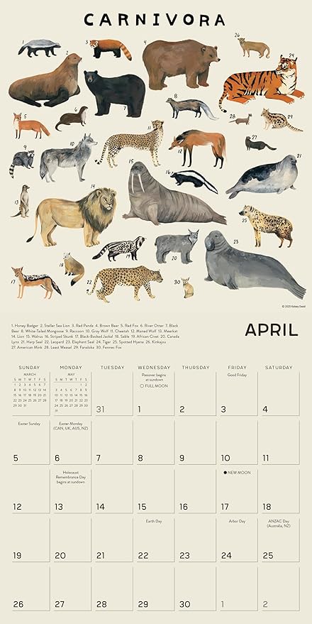 The Illustrated Animal Kingdom 2026 Wall Calendar, 12-Month Animal Art & Nature Calendar by Kelsey Oseid, 12" x 12", Large Grids for Home or Office