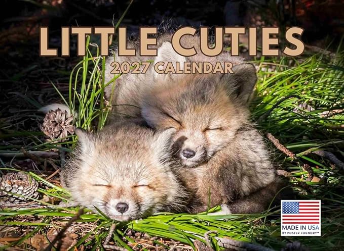 Cute Baby Animal Calendar 2027 Kids Monthly Wall Calender 12 Month