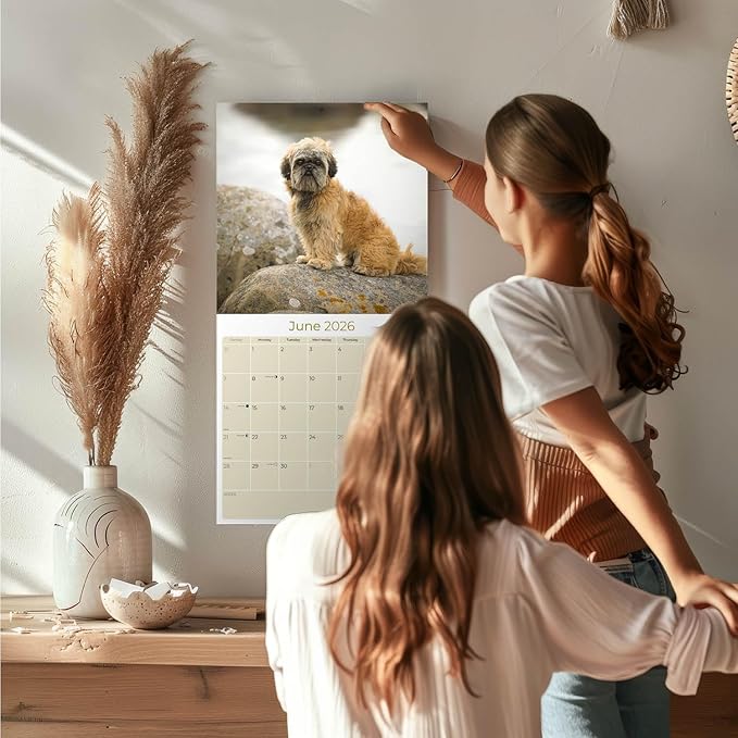 Shih Tzu Calendar 2026 by MegaCalendars – Monthly Dog Breed Wall Calendar, Made in USA