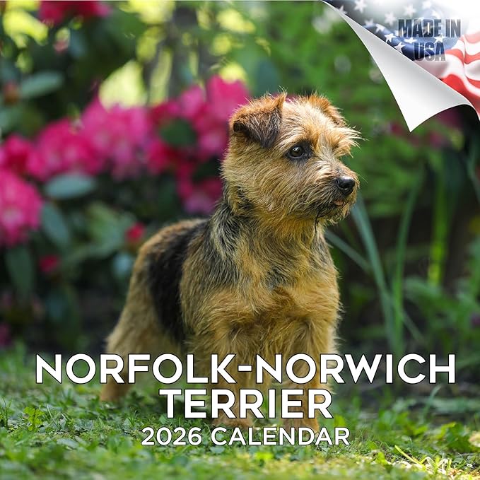 2025 2026 Norfolk/Norwich Calendar - Dog Breed Monthly Wall Calendar - 12" x 24" Open - Thick No-Bleed Paper - Giftable - Academic Teacher's Planner Calendar Organizing & Planning - Made in USA