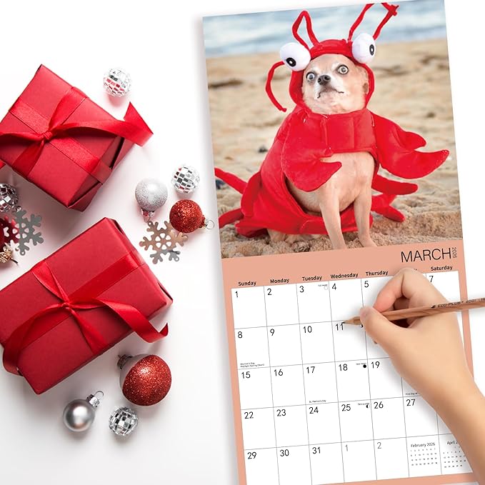 2026 Wall Calendar Funny Animal, 14 Months Hangable Wall Calendars, 12" x 24" (Open), Thick Glossy Paper, Organizing & Planning