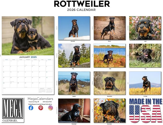 2025 2026 Rottweiler Calendar - Dog Breed Monthly Wall Calendar - 12" x 18" Open - Thick No-Bleed Paper - Giftable - Academic Teacher's Planner Calendar Organizing & Planning - Made in USA