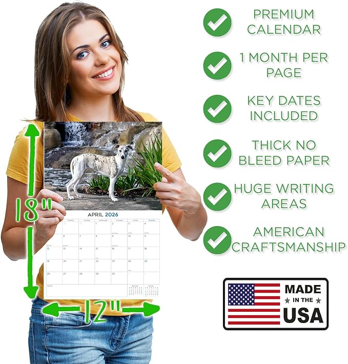 2025 2026 Whippet Calendar - Dog Breed Monthly Wall Calendar - 12" x 18" Open - Thick No-Bleed Paper - Giftable - Academic Teacher's Planner Calendar Organizing & Planning - Made in USA